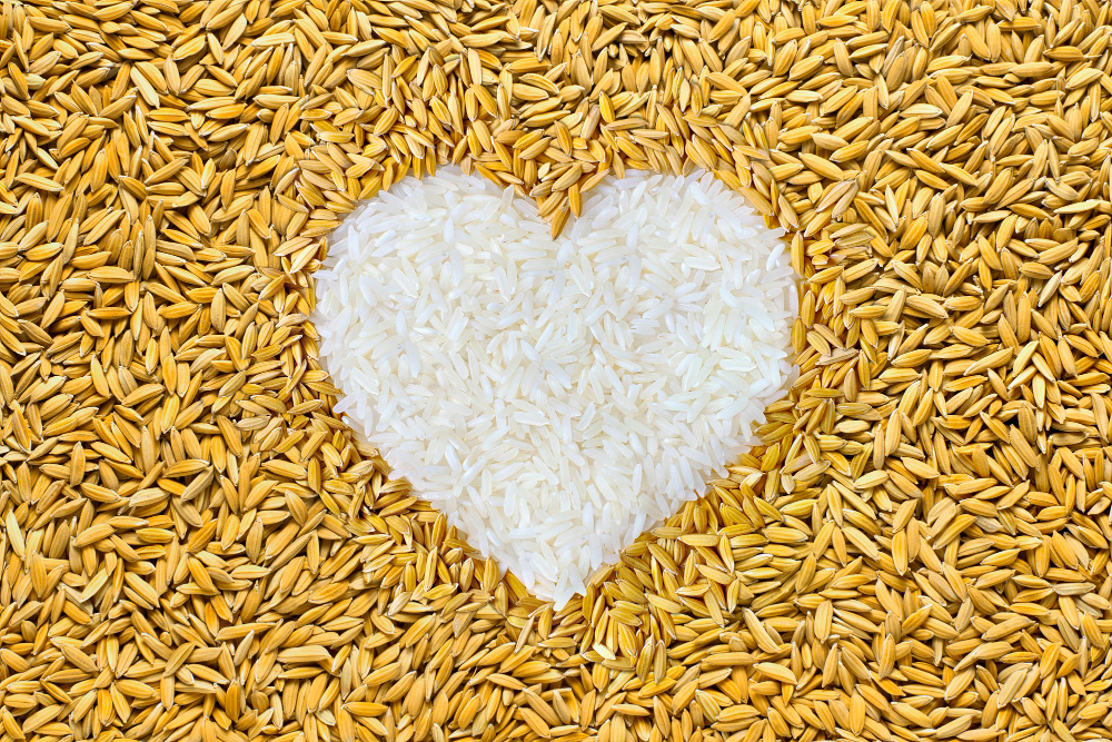 Vrihi Organic Promise