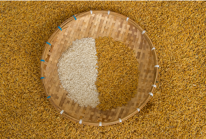 Vrihi Organic Promise